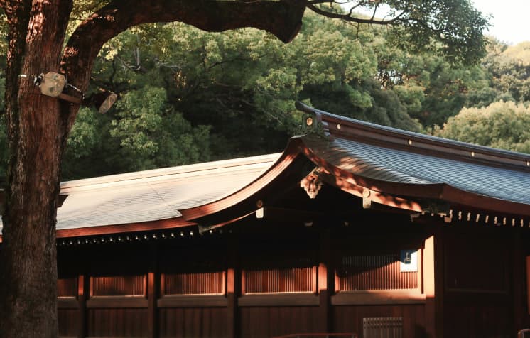 兵庫横丁、芸者街の昔の趣