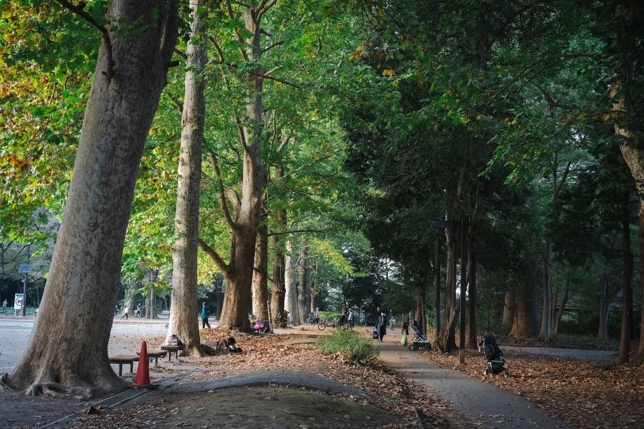 窓の外に広がる公園の風景