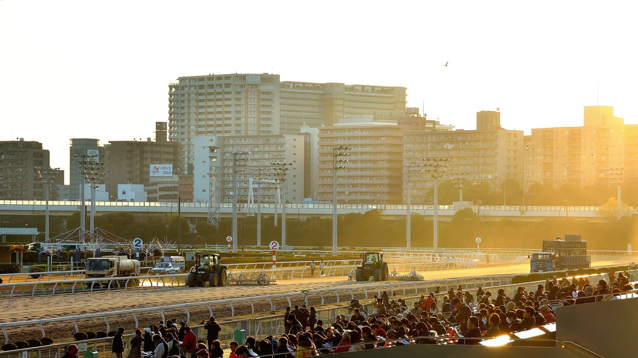 都市の夜を象徴する大井競馬場